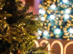 눈 속의 연인들 (Merry Christmas)