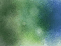 도위소병) 완벽의 세계