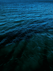 [2차] 어두운 바다의 등불이 되어