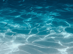 빛을 잃은 파도가 말했다.