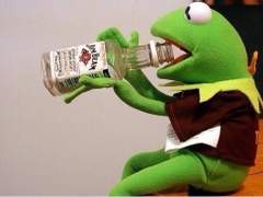 단지! 널 사랑해♡ TALK