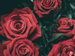 결국 성장했기에