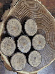 나이를 로꾸꺼!