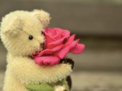 [도리벤 드림] 오빠들은 무섭지만