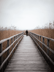 잡것들의 시리즈