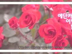 <나의 에단 카터가 이럴 리 없어!>