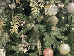 [도리벤/카쿠쵸] 어쩌면 산타는