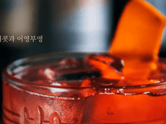 [잼동] 애프리콧과 어영부영