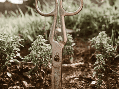 추억을 다듬는 미용사