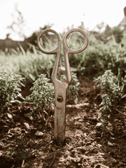 추억을 다듬는 미용사