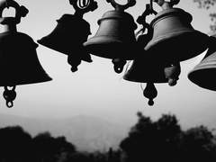 사라진 D페이지.