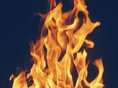 법도 / 인 / 34 / xx