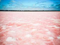 [라이트/여행] 홍청의 수몰 - The Flood of Rainbow lake (쏜즈 & 엘리시움) (6p)