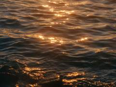 애정 어린 불신