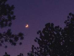 종말 끝 엑시트 ㅡ 1