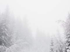 " 하하 기다렸어요? "