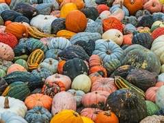 야 이거 되게 신기하다!!