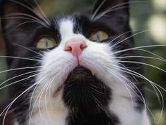 [킹오파/암경] 2022 크리스마스 기념 단편 -1-