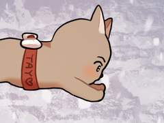 ✨🎄MERRY CHRISTMAS🎄✨