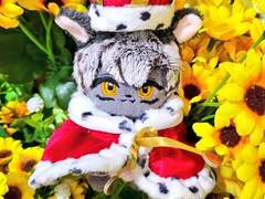 아기 로스갈 모음집