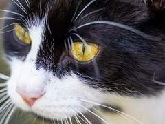 [킹오파/암경] 2022 크리스마스 기념 단편 -3-