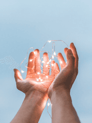 모금 홍보 & 정산 내역