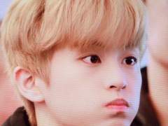 산타마을 요정일기