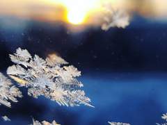 미미크릭 로맨티시즘