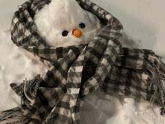 크리스마스 양샤