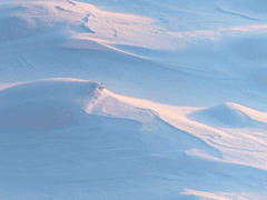 저주의 바다 설정 글