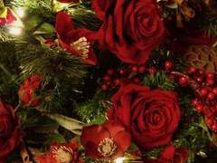 Painting the World Red and White