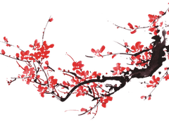 香美 • 인간 • 24