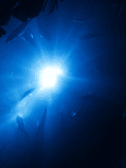 무현재희 단편 시리즈