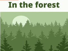 In the forest