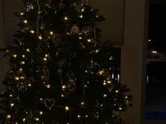 🎄HAPPY MERRY CHRISTMAS🎄