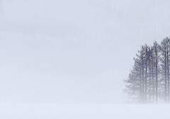 삿포로에 갈까요 下