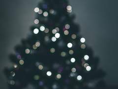 평온한 밤의 선사