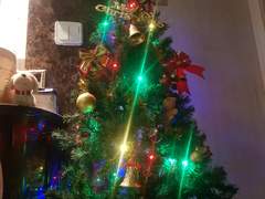 오해로 얼룩진 20년 전 우리 부부의 첫 크리스마스..