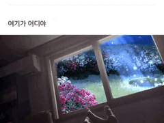 [투표] 가장 전이되고 싶지 않은 이케시리 타이틀