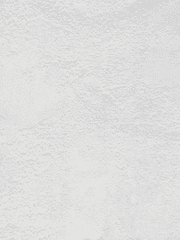 단테토미 직원 설정