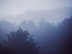 의미 없던 날들에 소소한 행복을.