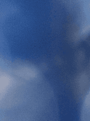 열병(熱病) (2022 크리스마스 선물)