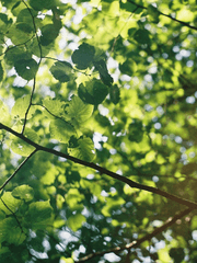 바람이 머문 자리