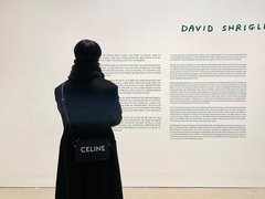 채, 우아한 美친개