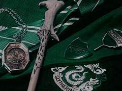 Chloe Beatrix MacLaren | 클로이.B.맥클라렌 | 슬리데린 | 여성 | 순혈