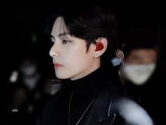 임신한 고양이 보고 싶다 26