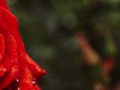 길을 선택하는 일에