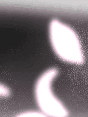 한반도 이능연대