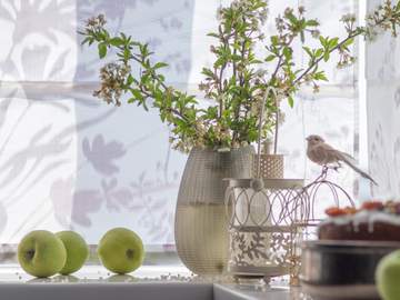 [마이타케] My Little Bird