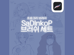 SanDInkoP 브러쉬 세트 판매